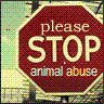 Dieren Avatars Dieren misbruik 