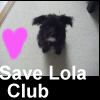 Dieren Avatars Dieren misbruik Save Lola Club Msn