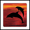 Dieren Dolfijnen Avatars 