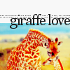 Dieren Avatars Giraffe 