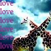 Dieren Avatars Giraffe 