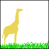 Dieren Avatars Giraffe 