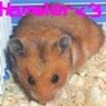 Dieren Avatars Hamster 