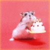 Dieren Avatars Hamster 