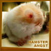 Dieren Avatars Hamster 