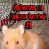 Dieren Avatars Hamster 