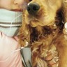 Dieren Honden Avatars 