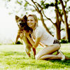 Dieren Honden Avatars 