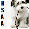 Dieren Honden Avatars 