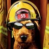 Dieren Honden Avatars 