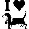 Dieren Honden Avatars 