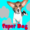 Dieren Honden Avatars 