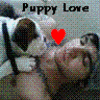 Dieren Honden Avatars 
