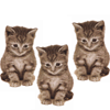 Dieren Avatars Kat 