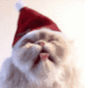 Dieren Avatars Kat Kat Likt Scherm Kerst