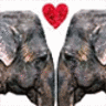 Dieren Olifant Avatars 