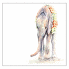 Dieren Olifant Avatars 