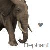 Dieren Olifant Avatars 