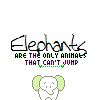 Dieren Olifant Avatars 
