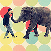 Dieren Olifant Avatars 