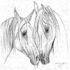 Dieren Paarden Avatars 