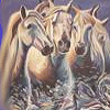 Dieren Paarden Avatars 