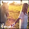 Dieren Paarden Avatars 