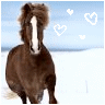 Dieren Paarden Avatars 