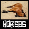 Dieren Paarden Avatars 