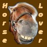 Dieren Paarden Avatars 