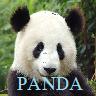 Dieren Panda Avatars 