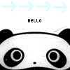 Dieren Panda Avatars 