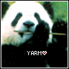 Dieren Panda Avatars 