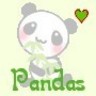 Dieren Panda Avatars 