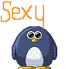 Dieren Pinguin Avatars Sexy Dikke Pinguin