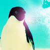 Dieren Pinguin Avatars 