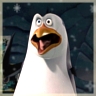 Dieren Pinguin Avatars 