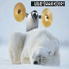 Dieren Pinguin Avatars 