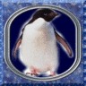 Dieren Pinguin Avatars 