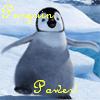 Dieren Pinguin Avatars 