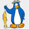 Dieren Pinguin Avatars 