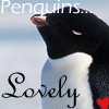 Dieren Pinguin Avatars 