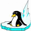 Dieren Pinguin Avatars 