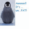 Dieren Pinguin Avatars 