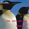 Dieren Pinguin Avatars 