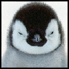 Dieren Pinguin Avatars 