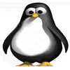 Dieren Pinguin Avatars 