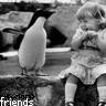 Dieren Pinguin Avatars 