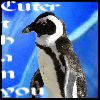 Dieren Pinguin Avatars 