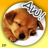 Dieren Puppy Avatars 